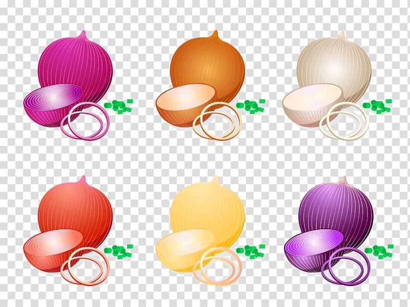 White onion , Organic onion healthy fresh vegetarian transparent background PNG clipart