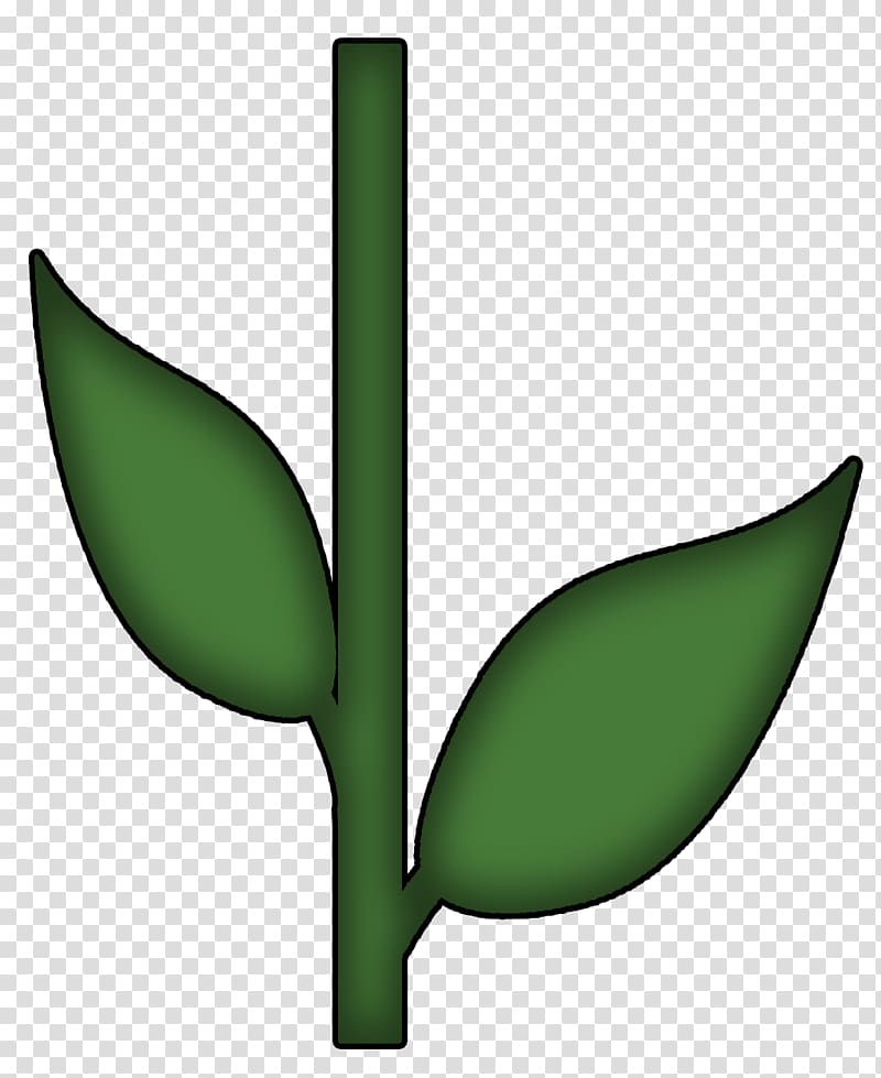 green leafed plant , Plant stem Flower Petal Shrub , sunflower leaf transparent background PNG clipart
