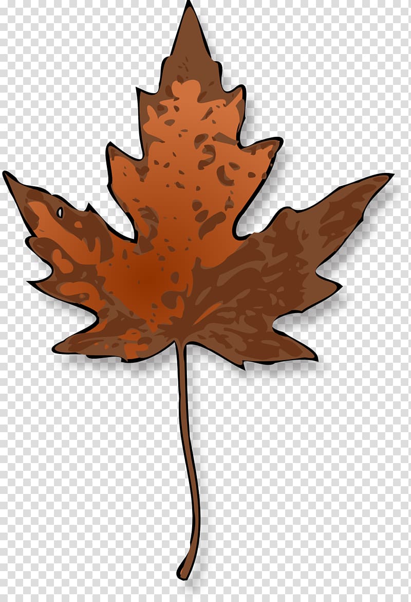 Sugar maple Maple leaf , leaves transparent background PNG clipart