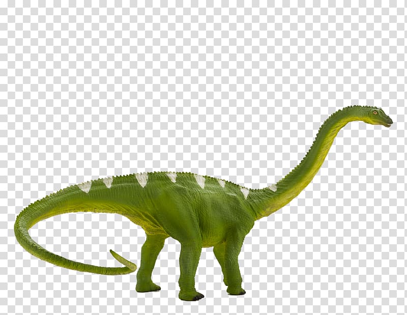 Diplodocus Baryonyx Tyrannosaurus Suchomimus Apatosaurus, dinosaur transparent background PNG clipart