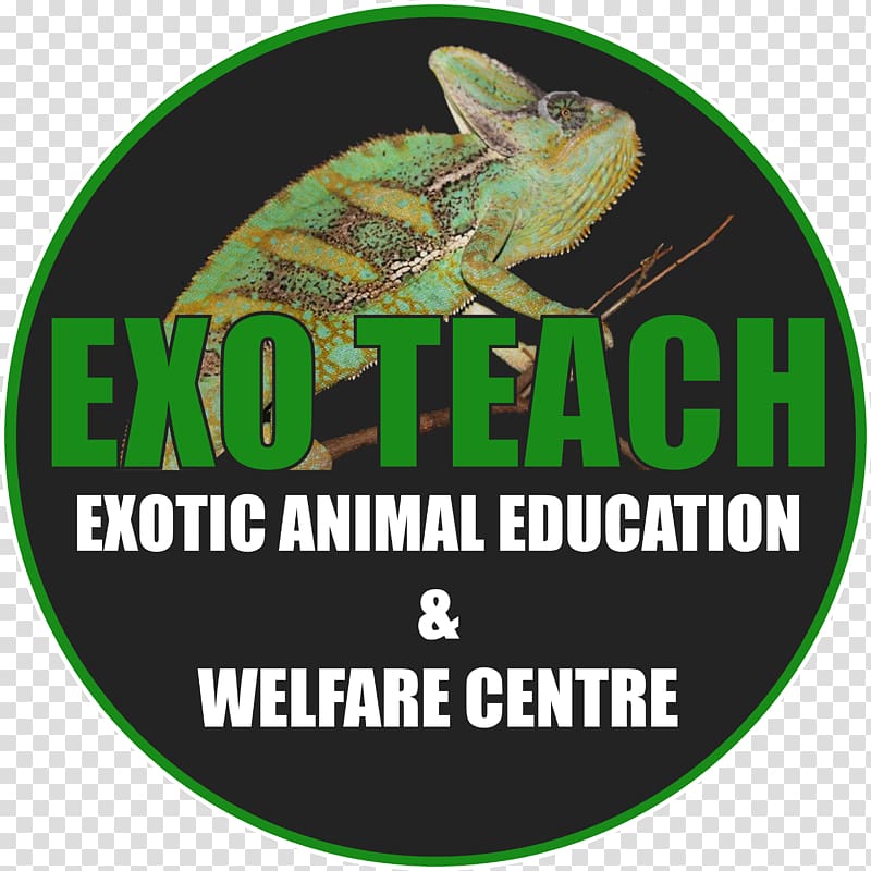 EXO TEACH Education Exotic pet Exotic animal veterinarian Non-profit organisation, animal welfare transparent background PNG clipart