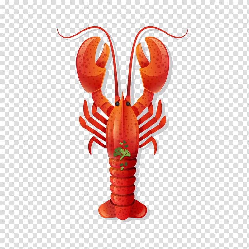 Seafood Palinurus elephas, Cartoon red lobster transparent background PNG clipart