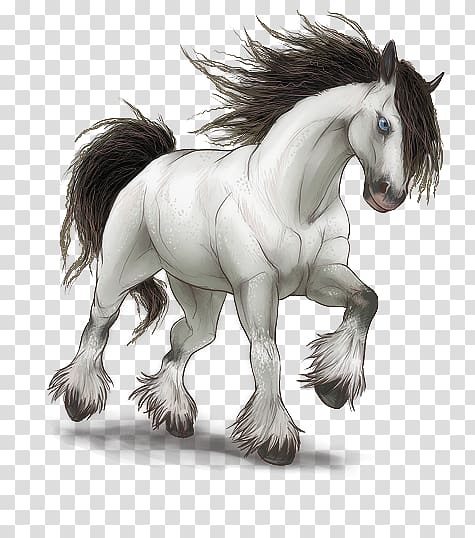 Mustang Stallion Foal Colt Mare, Gypsy Horse transparent background PNG clipart