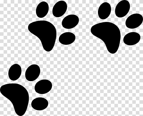 Paw Bichon Frise Havanese dog Black and Tan Coonhound , paw prints transparent background PNG clipart