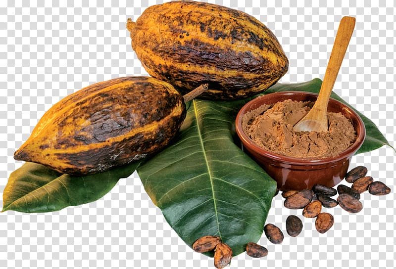 Cocoa bean Cacao tree Cocoa solids Chocolate Organic food, chocolate transparent background PNG clipart