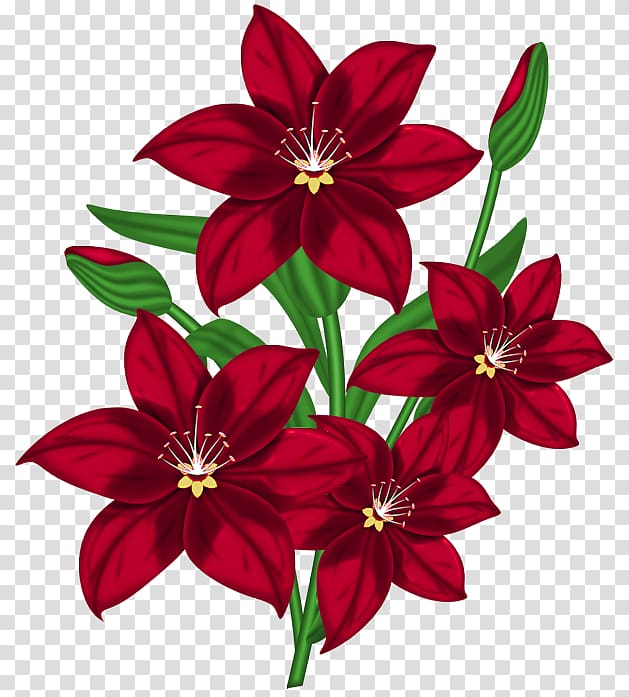 Flower Red , Nice Red Flower , red flowers illustration transparent background PNG clipart