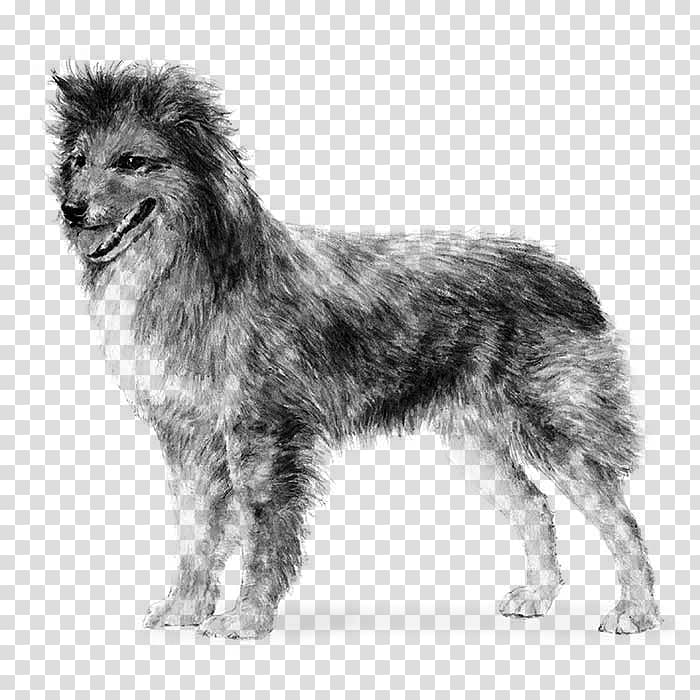 Pyrenean Shepherd Great Pyrenees German Shepherd Old English Sheepdog Smooth Collie, others transparent background PNG clipart