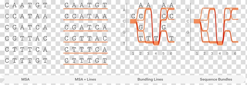 Sequence alignment Science Web application Project, science test prep transparent background PNG clipart