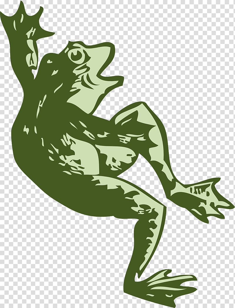 Tree frog Dance , amphibian transparent background PNG clipart