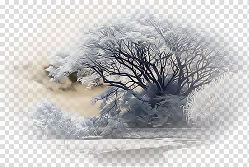 Landscape Nature Winter Snow, others transparent background PNG clipart