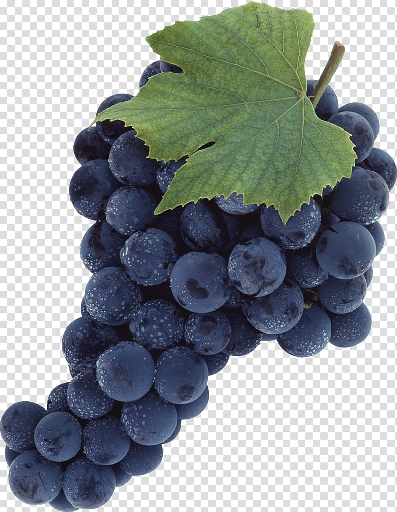 bunch of blueberries, Common Grape Vine, Grape transparent background PNG clipart