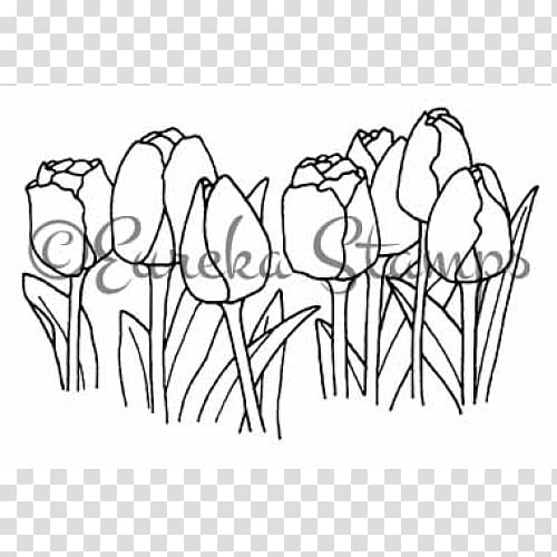 Line art White Cartoon Sketch, tulip material transparent background PNG clipart
