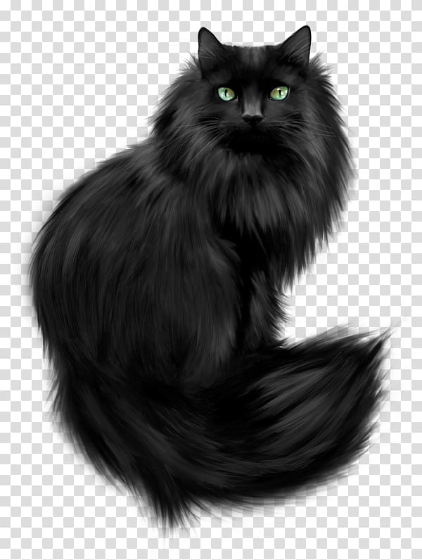 Norwegian Forest cat Persian cat Kitten Feral cat, Black Cat transparent background PNG clipart