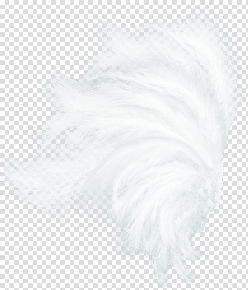 White Feather Black Pattern, White Wings transparent background PNG clipart