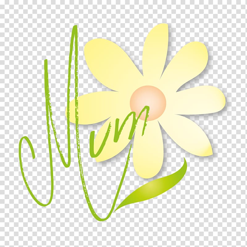 Cut flowers Floral design Plant stem, mother\'s day transparent background PNG clipart
