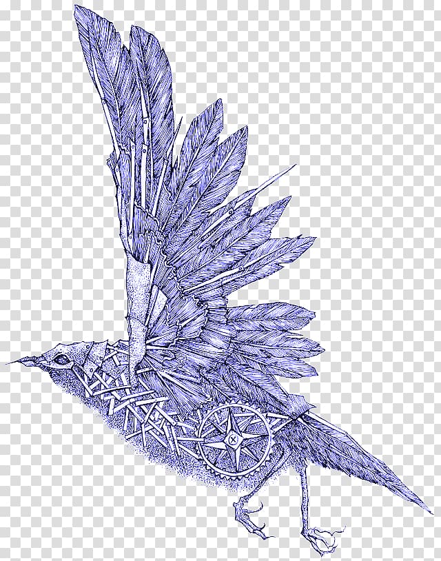 Bird Drawing Art Illustration, Eagle wings transparent background PNG clipart