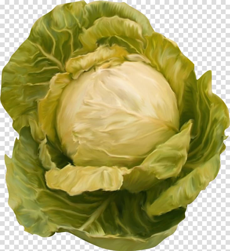 Red cabbage Cauliflower , Green cabbage transparent background PNG clipart