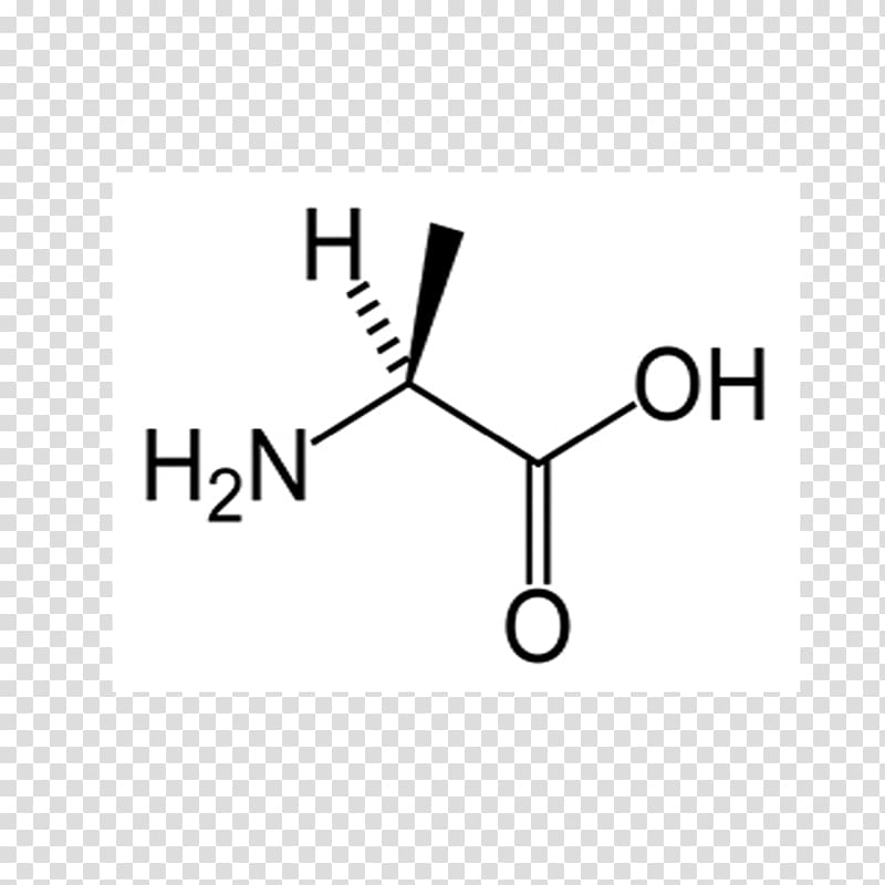 Leucine Proteinogenic amino acid Valine Essential amino acid, others transparent background PNG clipart