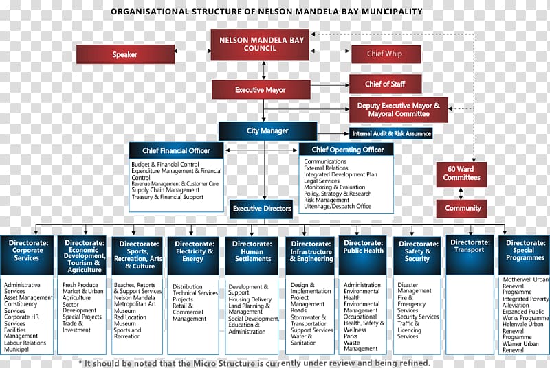 Organizational chart Metropolitan municipality Nelson Mandela Metropolitan Art Museum, others transparent background PNG clipart