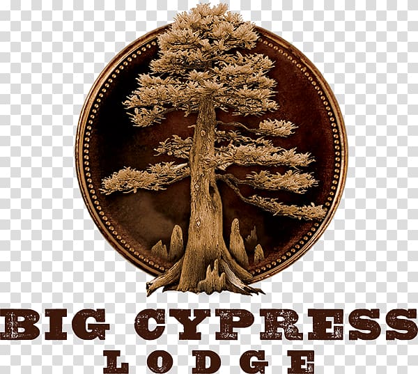 Big Cypress Lodge Accommodation Hotel Branson Bass Pro Drive, hotel transparent background PNG clipart