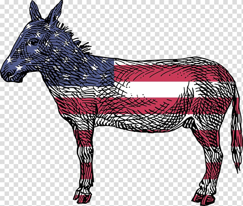 Reasons To Vote For Democrats: A Comprehensive Guide United States Amazon.com Democratic Party Book, donkey transparent background PNG clipart