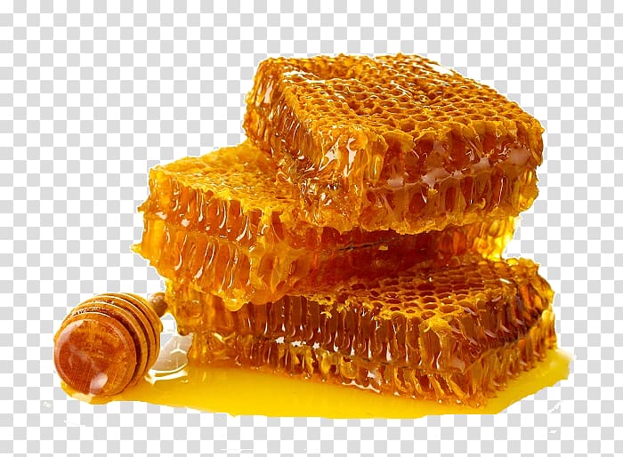 Honey bee Honeycomb Organic food, honey transparent background PNG clipart