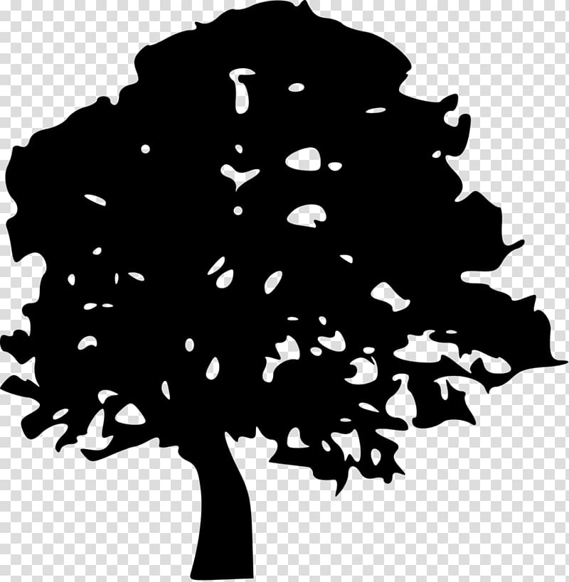 Tree Drawing Stencil , cypress isolated transparent background PNG clipart