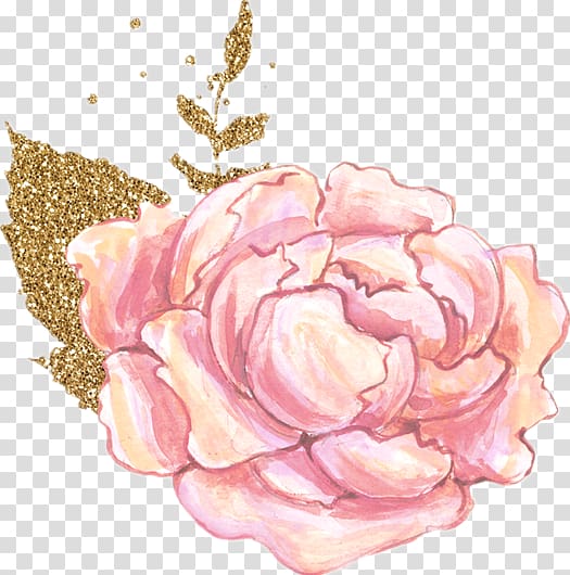 Garden roses Flower , Painted flowers transparent background PNG clipart