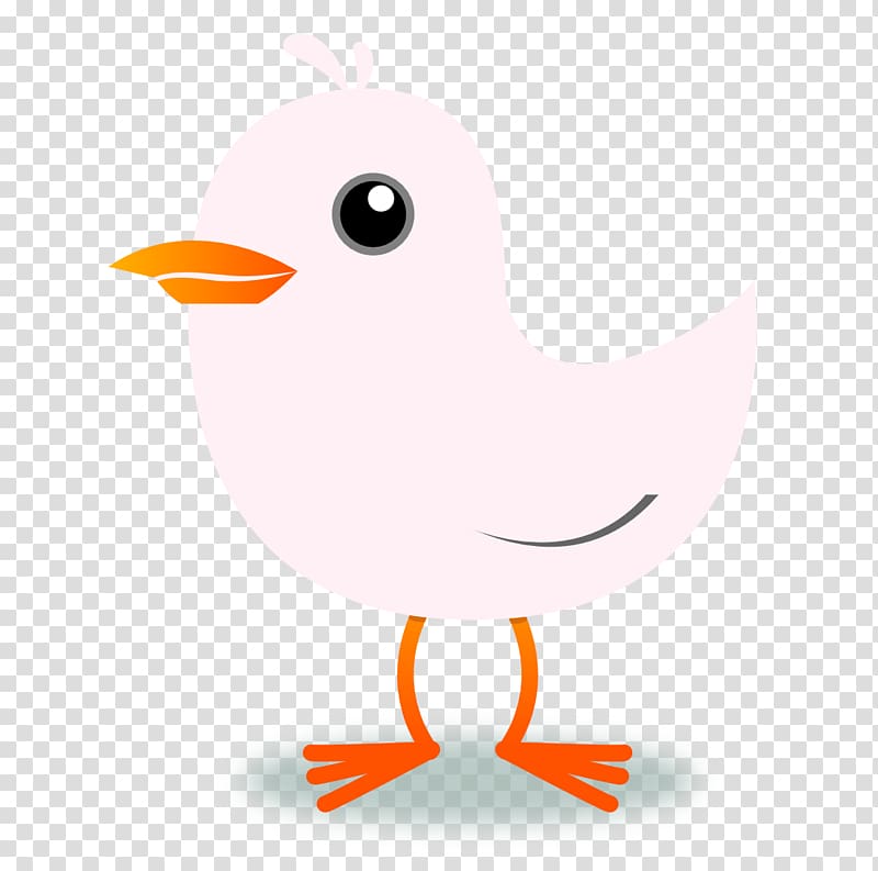 Bird Domestic canary , blush transparent background PNG clipart