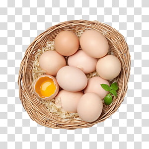 Chicken eggs in a cardboard tray on transparent background PNG - Similar PNG