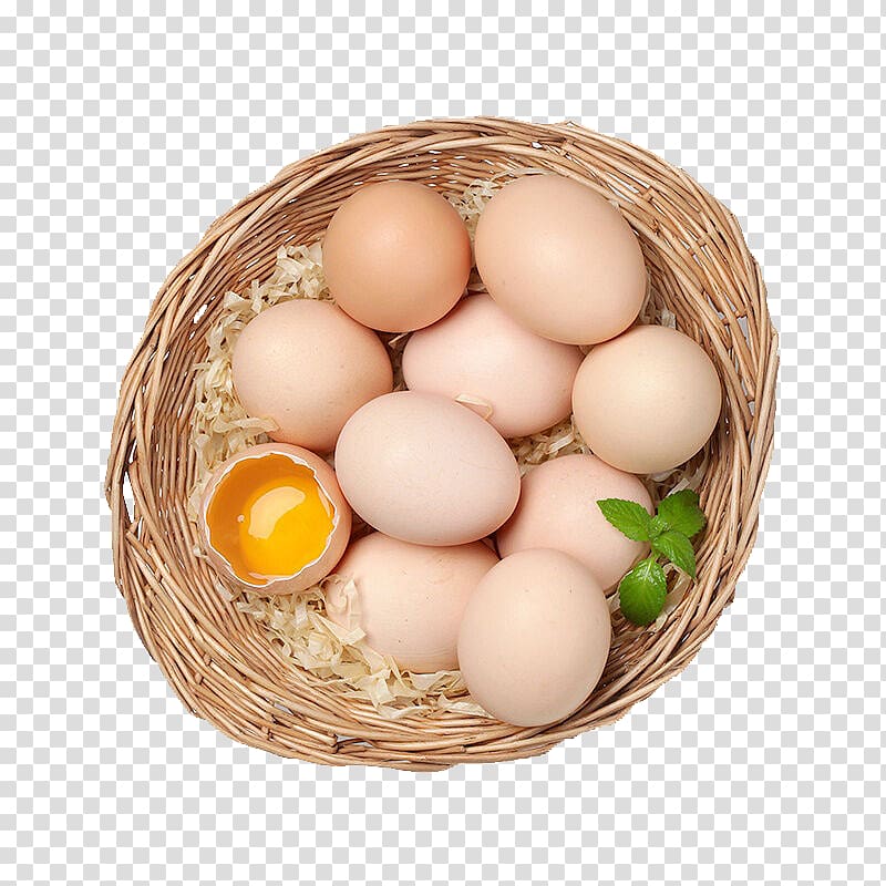 eggs PNG transparent image download, size: 1650x1365px