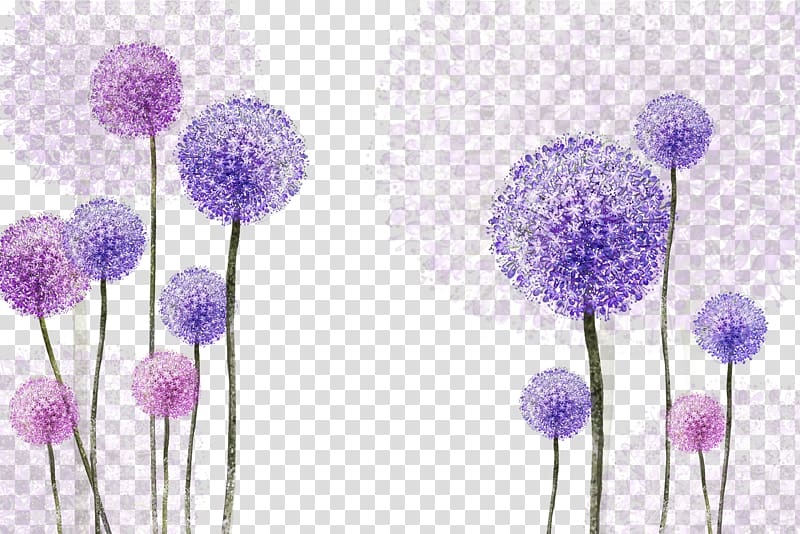 purple dandelion painting, Common Dandelion Purple, Purple Dandelion transparent background PNG clipart