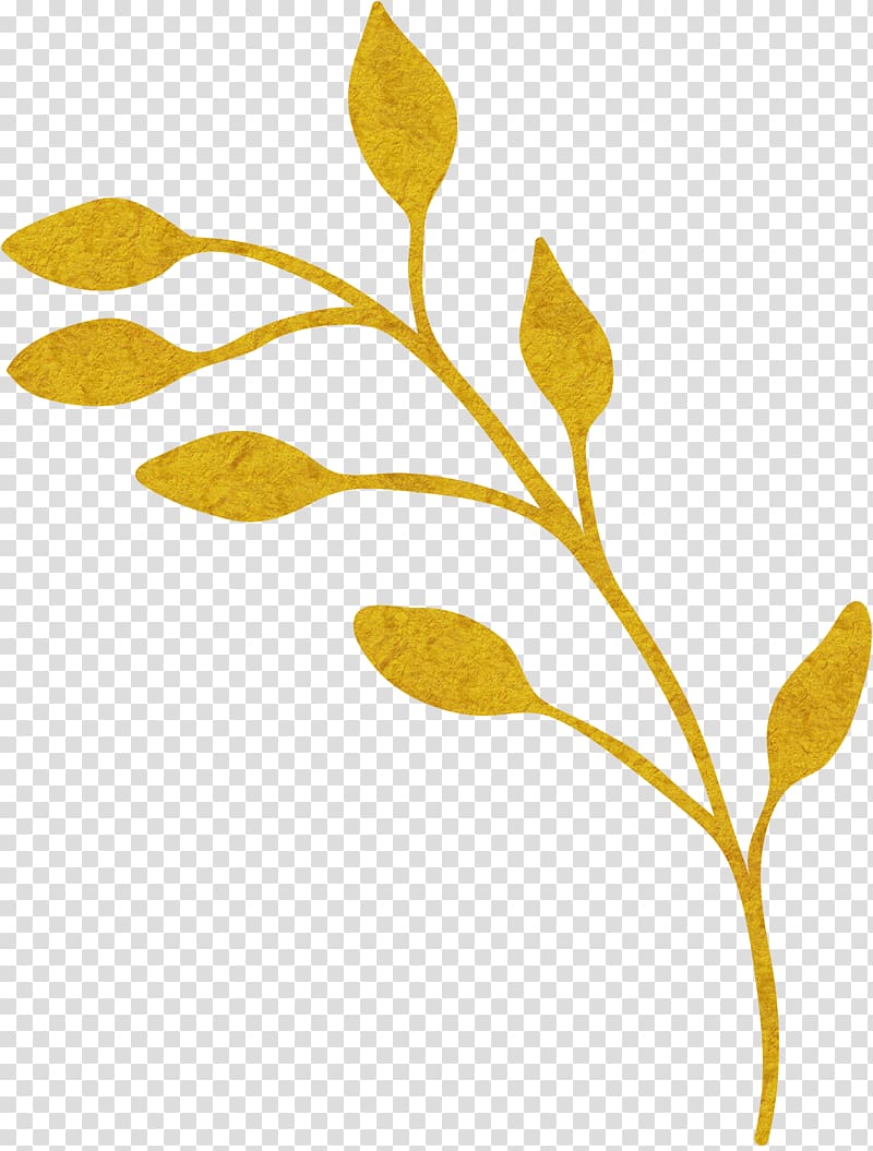 Plant Gold Yellow Euclidean , Golden plants transparent background PNG clipart