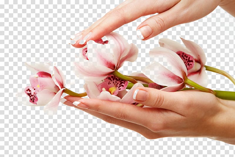pink flower between hands, Nail salon Beauty Parlour Canvas print, Holding fresh bouquet transparent background PNG clipart