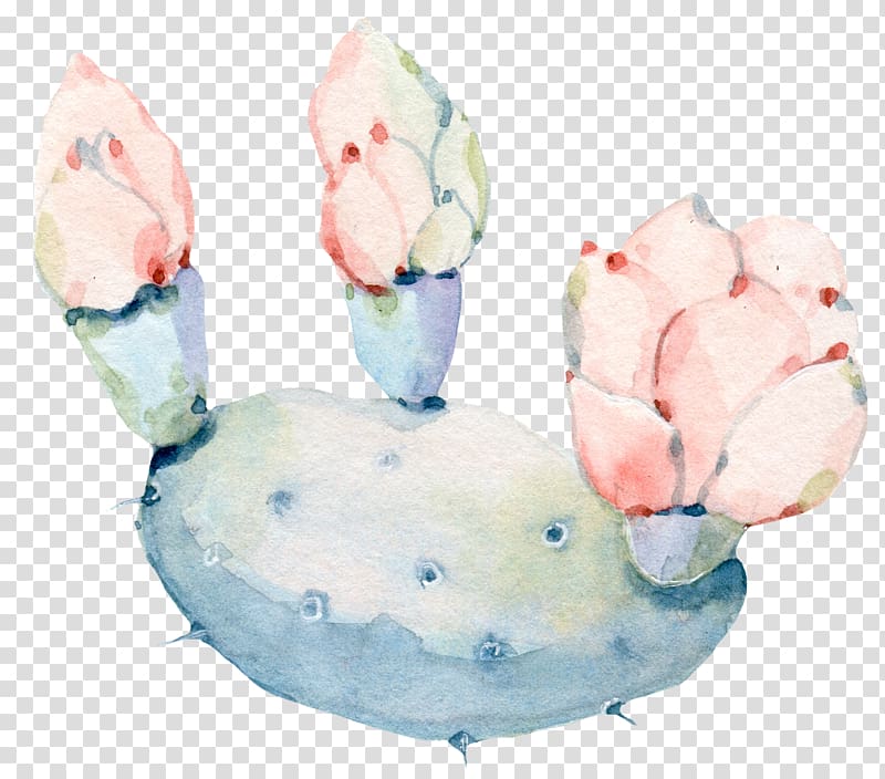 green and pink cactus , Watercolor: Flowers Watercolor painting Cactaceae, Hand painted watercolor flowers, green plants cactus transparent background PNG clipart