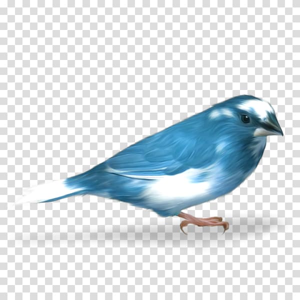 Bird Passerine , Creative hand-painted blue bird transparent background PNG clipart