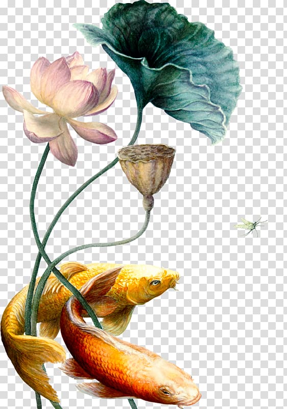 green, white, and pink flowers flowers and two yellow fish illustration, Koi Carassius auratus Nelumbo nucifera, Hand-painted lotus transparent background PNG clipart