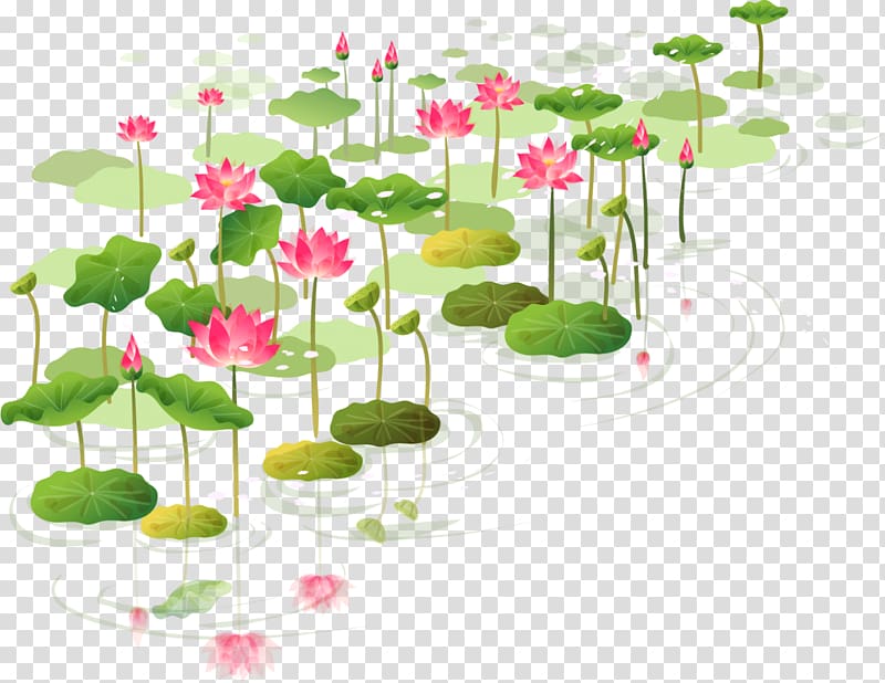 Sacred Lotus Water lilies Sticker Flower, water lilies transparent background PNG clipart
