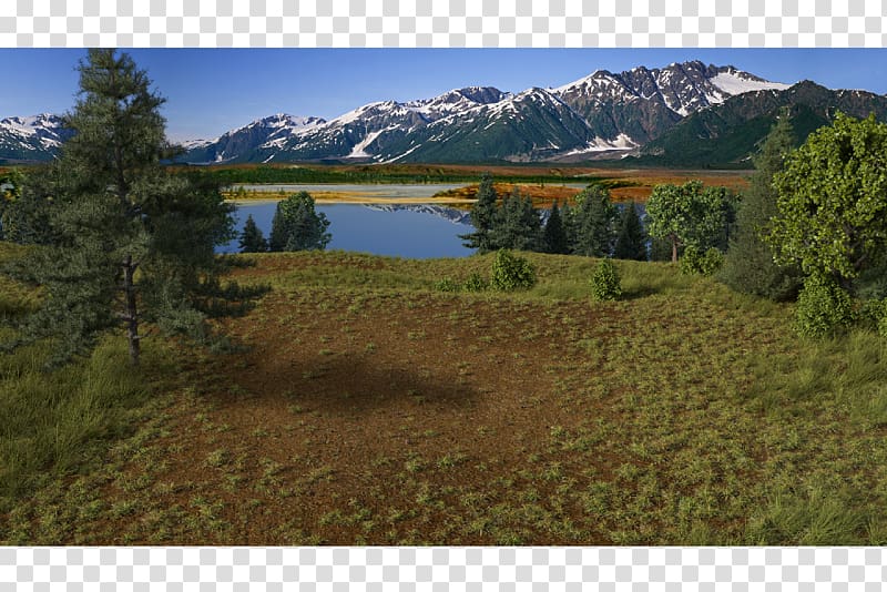 Rendering Wilderness Nature reserve 3D computer graphics, nature scene transparent background PNG clipart