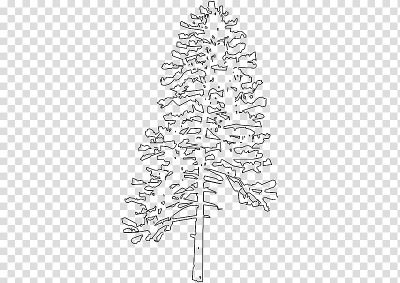 Fir Spruce Christmas tree Twig Line art, tree sketch transparent background PNG clipart