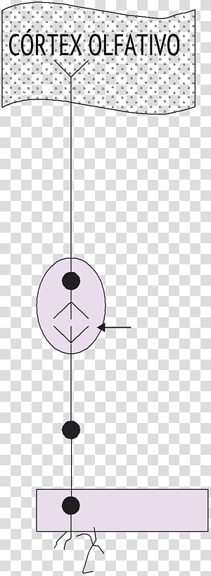 Line Point Angle, line transparent background PNG clipart thumbnail