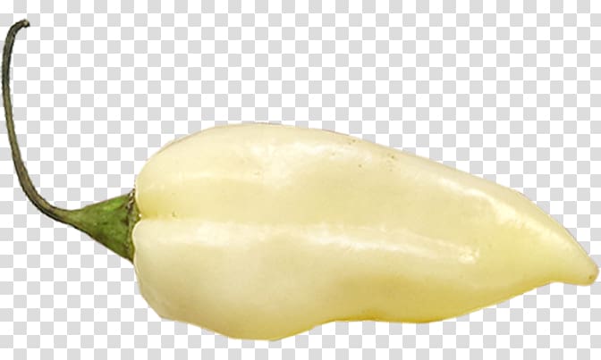Habanero Chili con carne Fatalii Chili pepper Bell pepper, Bhut Jolokia transparent background PNG clipart