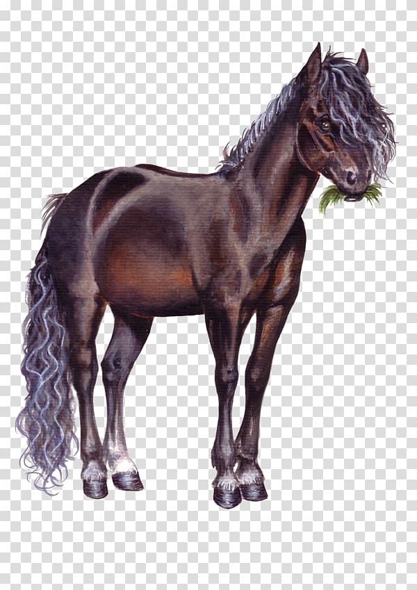 Breyer Animal Creations Foal Pony Valegro Mane, Chou Chou transparent background PNG clipart