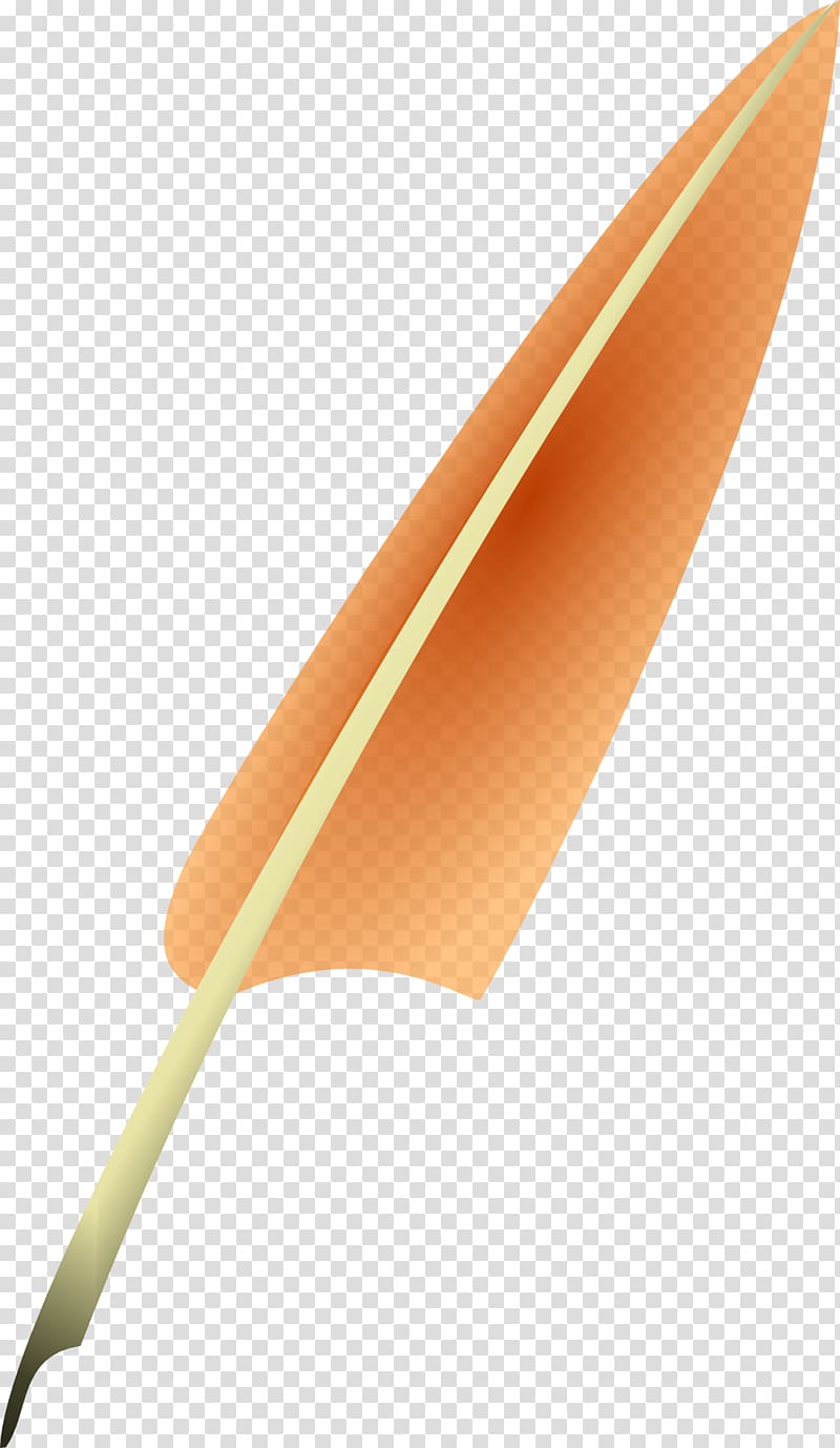 Feather Euclidean Pen, Personality Feather transparent background PNG clipart