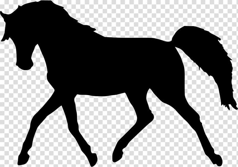 Standing Horse Silhouette , horse transparent background PNG clipart