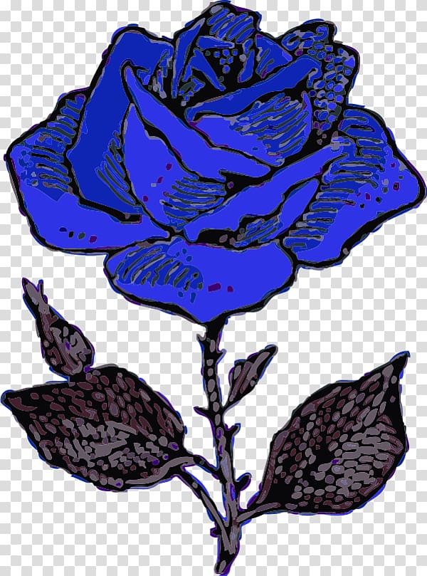 Drawing Rose Flower , Blue Rose transparent background PNG clipart