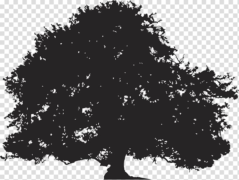 Oak Silhouette Tree Illustration, Tree Silhouette transparent background PNG clipart