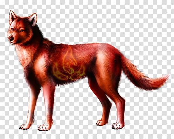 Red fox Dog breed Wolf Haven International Fire, Fire wolf transparent background PNG clipart