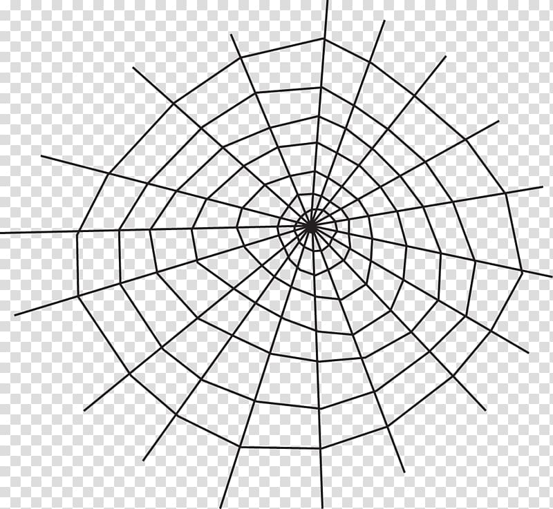 Cartesian coordinate system Polar coordinate system Graph of a function Graph paper Chart, spider web transparent background PNG clipart