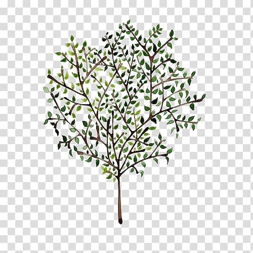 Olive branch Tree Mediterranean cuisine Painting, olive transparent background PNG clipart